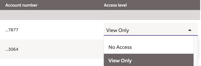 View Only Wells Fargo | Accountingprose